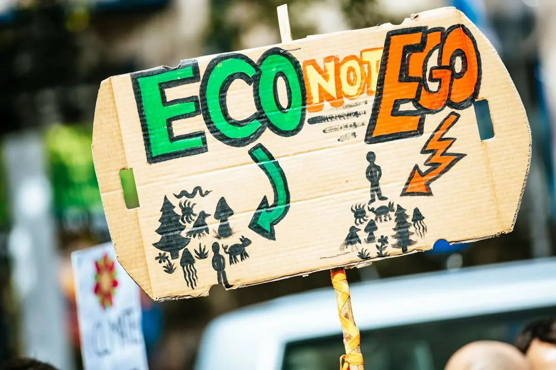 Educație ecologică în școala primară: de la conștientizare la proiecte europene Erasmus+