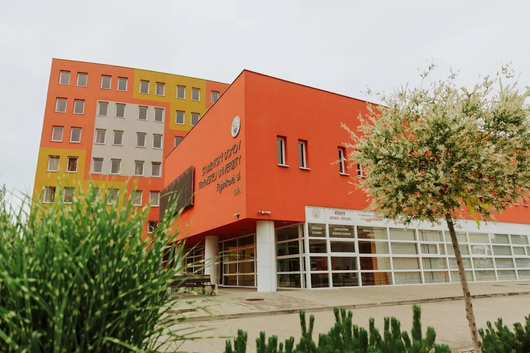 Haosul școlar: cum ne pierdem firul între donații și activități