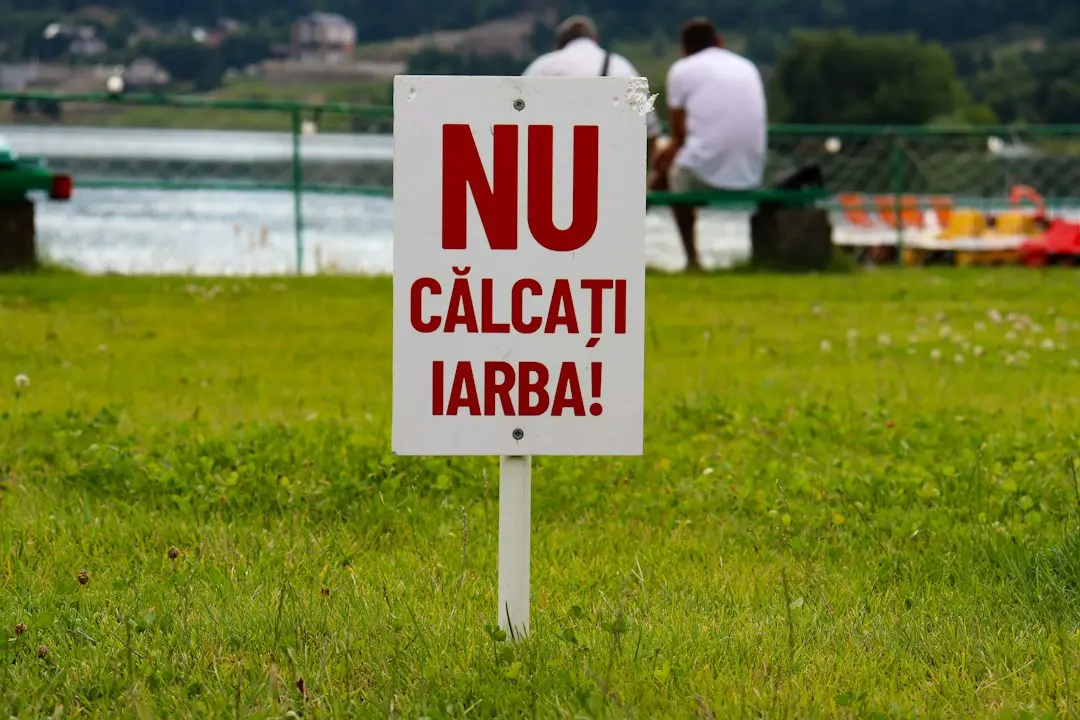 Mucegai rar poate provoca infecții cerebrale grave chiar și la adulți sănătoși