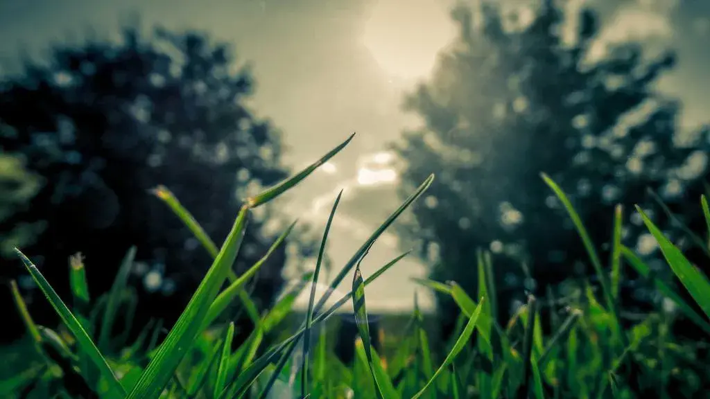 Nume evreiești cu farmec de Stars Hollow pentru bebelușul tău