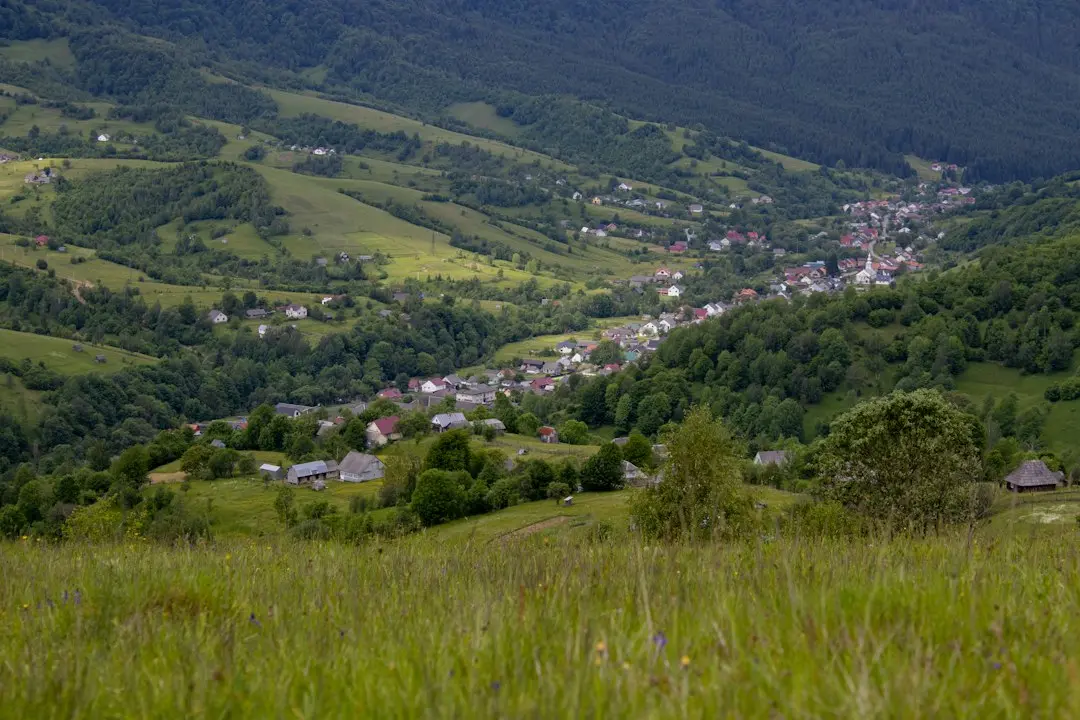 Viața cu gemeni: între bucurie dublă și haos zilnic